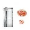 Kitchen Refrigerator thumbnail-1