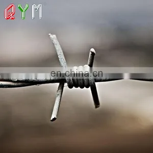 Barbed Wire Weight Per Meter 500m Barb Wire Fence Price thumbnail-4