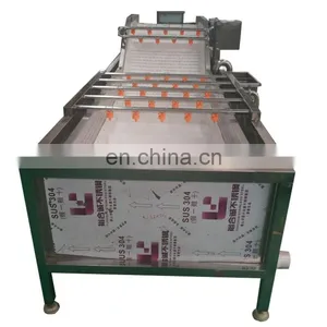 Commercial Apple Almond Cleaning Machine Fruit Washing Machine for Strawberry thumbnail-1