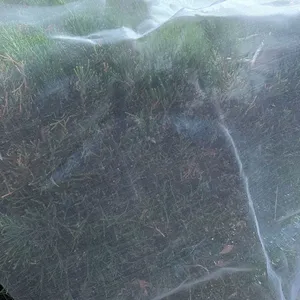 2025 Hdpe Anti Insect Net Green House 5 Years Using Life Time thumbnail-6