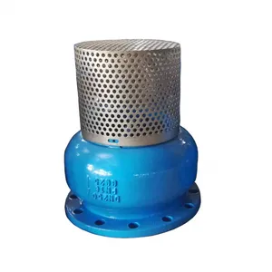 JIS/ANSI/DIN PN16 Cast Ductile Iron Flange Check Foot Valve With Stainless Steel Filter Water Pump thumbnail-6