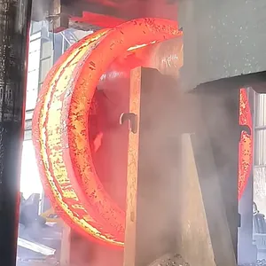 Double-Rim Ring Forgings | Forged Components | Factory Customization thumbnail-3