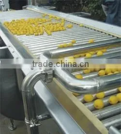 Concentrated Fresh Juice Processing Plant thumbnail-1