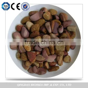 Wholesale Market Polished Natural Pebble Stone For Garden thumbnail-2