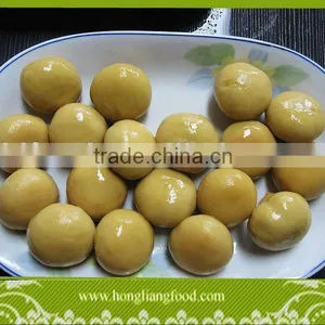 Canned Fresh Whole Champignon Mushroom thumbnail-1