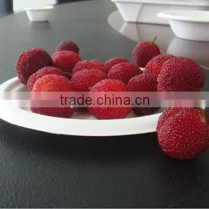 Wholesale China Factory Wedding Cake Paper Plates thumbnail-1