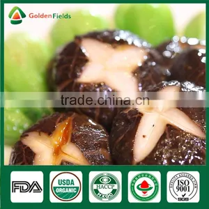 Supplier of Fresh Dried Shiitake Mushroom Growing Shiitake Mushroom Log Spawn for Mushroom Farm thumbnail-4