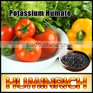 Huminrich Shenyang Organic 70% Leonardite Humic Acid Controlled Slow Release Prill Fertilizer For Saline Soil thumbnail-1