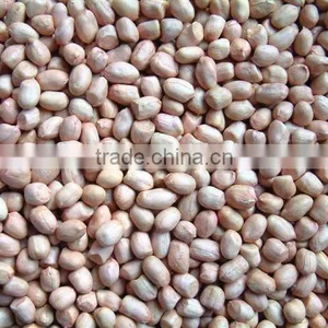 Chinese Round Type Peanut Kernels thumbnail-4