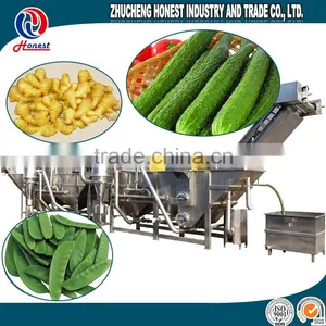 New Designed Fruit and Vegetable Processing Machines thumbnail-4