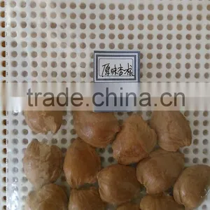 Supply With Chinese Bulk Spicy Flavored Roasted Apricot Kernels in Shell thumbnail-2