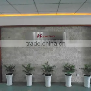 Hangzhou Honesun Magnet Co., Ltd. company overview - view 2 thumbnail