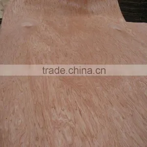 Rotary Cut Bintangor Wood Face Veneer for Plywood thumbnail-3