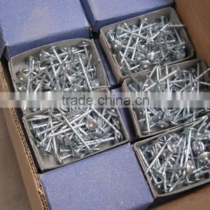 1''-6'' 4kg Common Nails for Dubai Market thumbnail-2