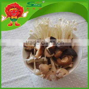 Bulk Fresh Shiitake Mushroom on Sale Smooth Mushroom thumbnail-2