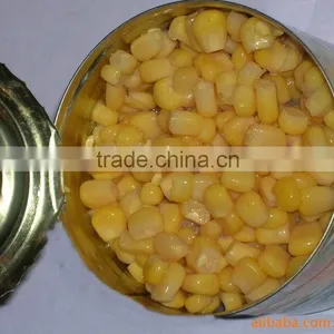 Canned Sweet Yellow Corn With Best Factory Corn Price thumbnail-5