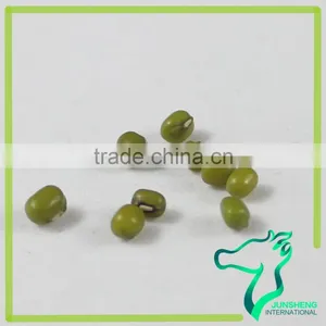 Green Mung Bean/Green Gram/Mung Beans Sprouting thumbnail-3