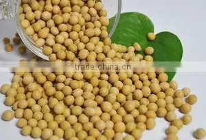 Soy Oligosaccharide for Lose Weight -- Burning Fat thumbnail-6