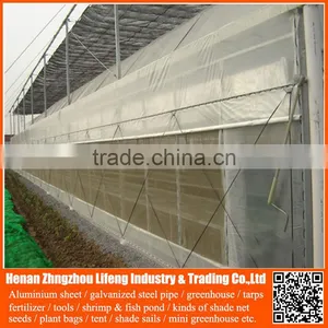 40 Mesh 50 Mesh100% Virgin Hdpe Greenhouse Insect Net , Plastic Vegetable Anti Insect Net , pe Agricultural Insect Proof Net thumbnail-3