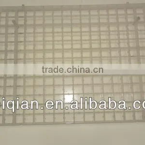 Cheap Quail Egg Tray thumbnail-1