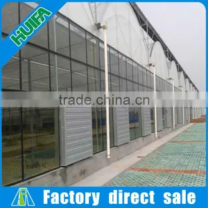 Steel Frame Material and Garden Greenhouses Type /sunroom Glass Houses thumbnail-5