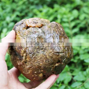 Beekeeping Supplies Raw Propolis From China thumbnail-1