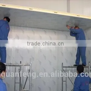 Storage Cold Room Price for Meat thumbnail-3