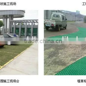 Plastic Paving Grid thumbnail-1