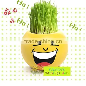 Mini Garden Growing Grass Hair Toy Growing Grass Head Toys 002-2(ceramic Colour Glaze) thumbnail-4