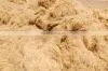 Golden Brown Coconut Fiber thumbnail-1