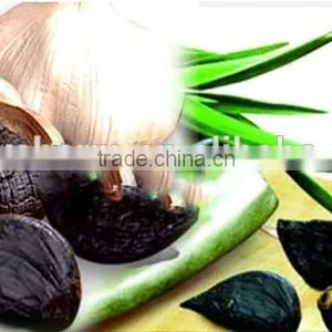 Fermented Black Garlic,black Organic Garlic,henan Garlic thumbnail-4