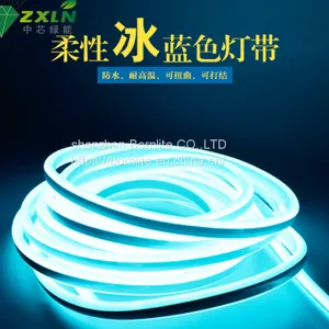 Hot Selling Silicone Neon Rope High CRI Led Neon Strip Outdoor Using IP67 Neon Strip Lights thumbnail-5