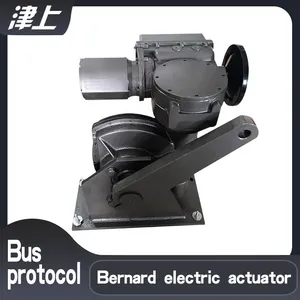 HART Bus Protocol B+RS400/F40H Throttle Electric Actuator thumbnail-1