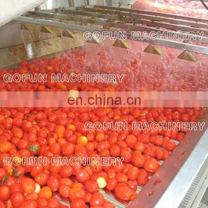 The Professional Supplier for Tomato Paste Production Plant thumbnail-4