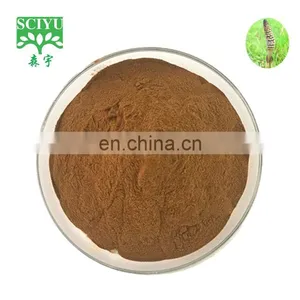 Horsetail Extract Powder With 7% Silicic Acid thumbnail-1