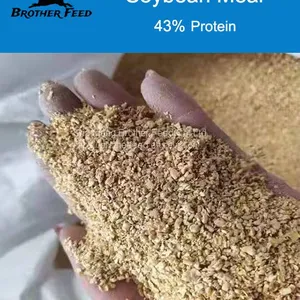 Soybean Meal Animal Feed for Sale thumbnail-1