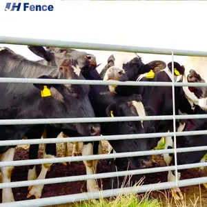 Wholesale Bulk Cheap Pricing Used High Strength Regular Stable Livestock Cattle Yard Metal Fences Panels for Sale thumbnail-5