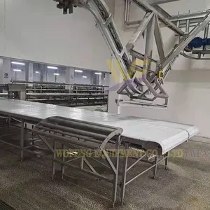 Small Medium Large Scale Pig Slaughter Line Customized Hog Processing Machinery With Installation Service thumbnail-4