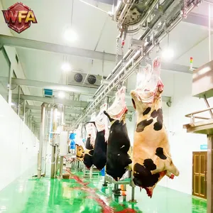 Small Cattle Abattoir Setup 50 Head Per Day Commercial Beef Processing Plant Evisceration Line Slaughter Equipment Price List thumbnail-2