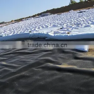 HDPE Geomembrane 0.5mm for Landfill Projects thumbnail-1