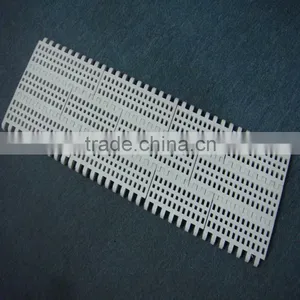 Engineering Standard Plastic Pa6 Conveyor Belt Pom Conveyor Chain thumbnail-4