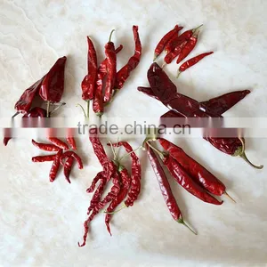 Top Quality Sweet Paprika Chilli thumbnail-6
