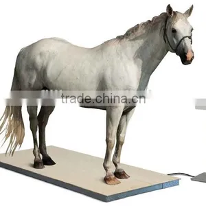 Heavy Duty Horse Scale thumbnail-1