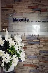 Mabetta Marketing company overview - view 3 thumbnail