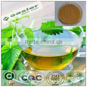 Natural GMP Hot Sale Nettle Plant Extract Powder thumbnail-1