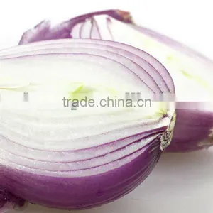 Fresh Onion(tiankuang) thumbnail-1