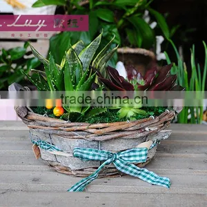 Garden Basket for European Market thumbnail-4