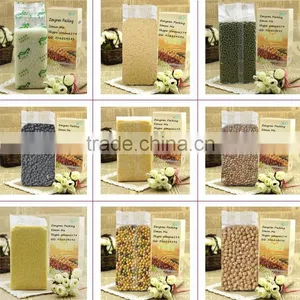 ZB500N2 Automatic Granular Vacuum Packaging Machine Unit Line thumbnail-3