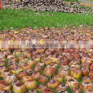 Tailand Bale Coconut Fiber Opening Machine thumbnail-4