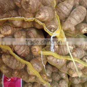 Chinese Dried Taro With Taro Root Plant Photos thumbnail-3